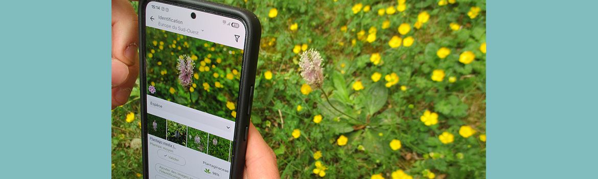 Oon voit sur ce bandeau image une personne en train de déterminer une espèce botanique à l'aide de l'application PlantNet